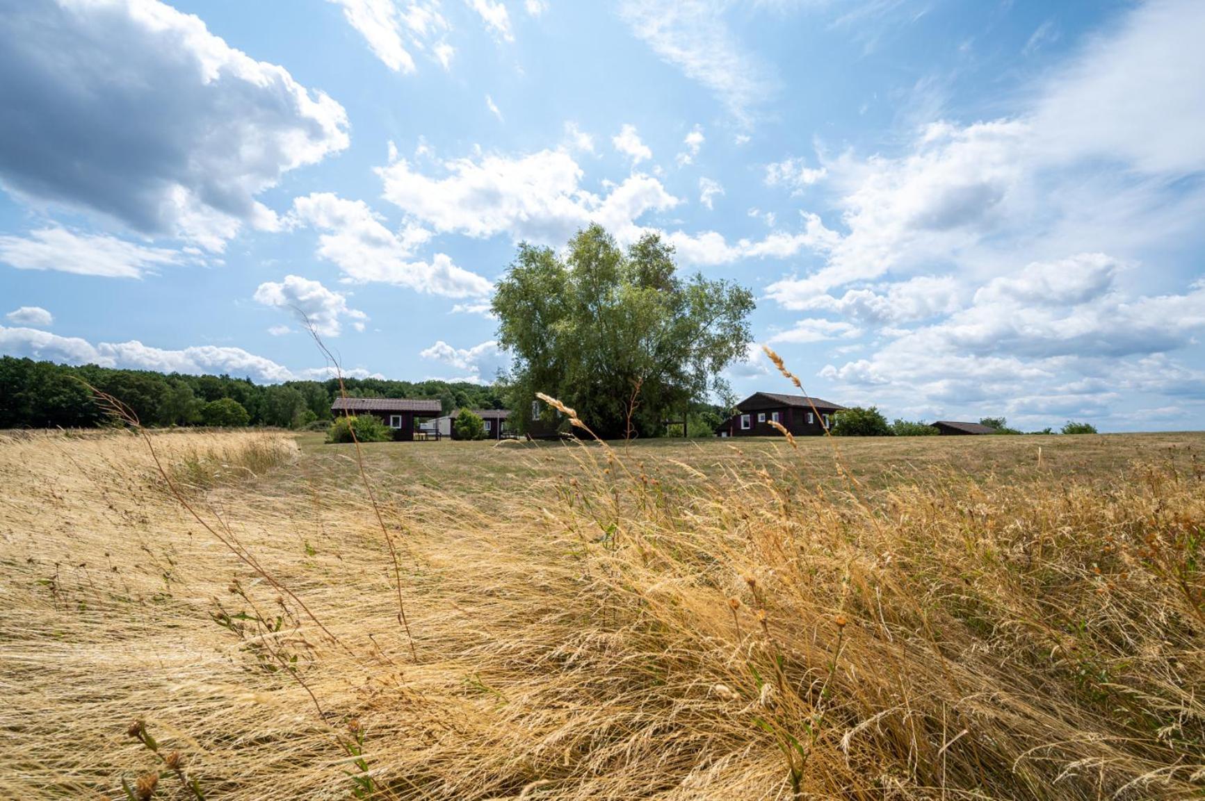 Camping Les Vosges Du Nord Oberbronn Εξωτερικό φωτογραφία